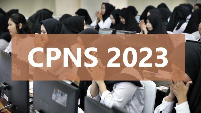 Panduan Cek Formasi CPNS 2023 Terbaru